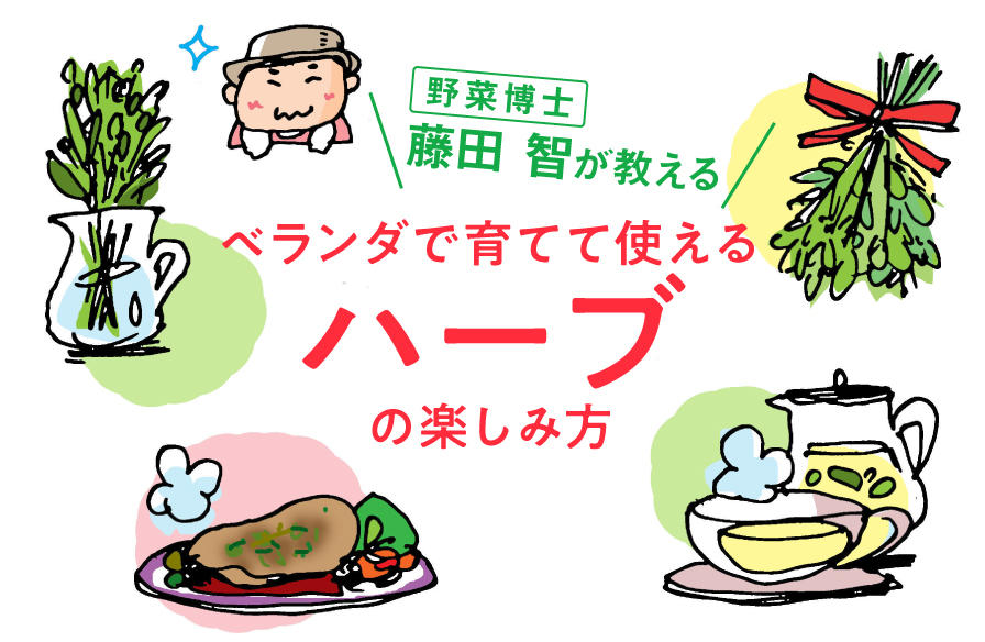 野菜博士・藤田 智が教えるベランダで育てて使えるハーブの楽しみ方